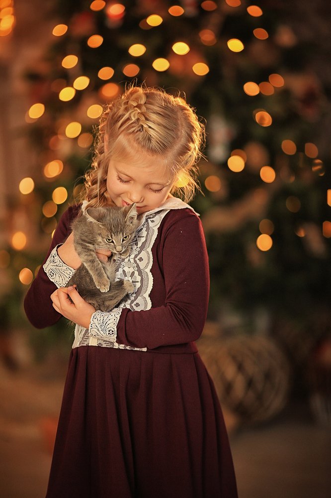 Photograph by Алёна Алисова