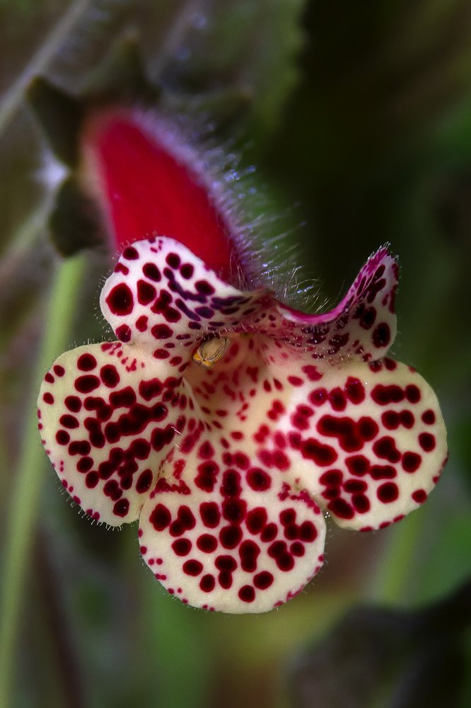 Photograph by Олег Тетерин