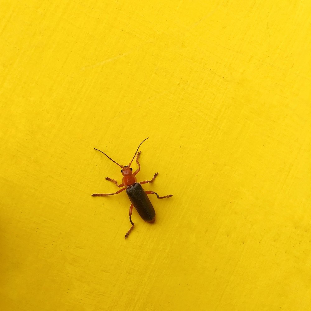 Photograph by Игорь Юнусов