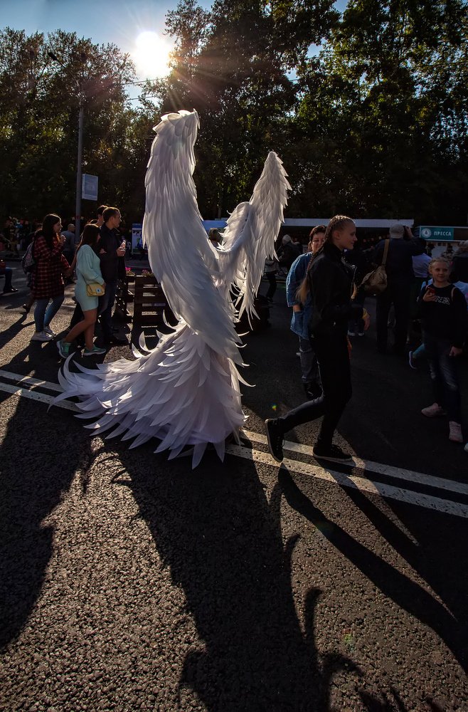 Photograph by Ольга Белова