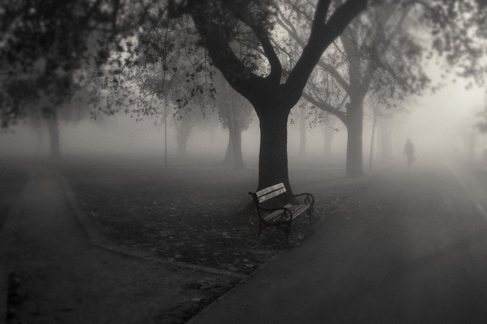 Photograph by Samir Kurtagić