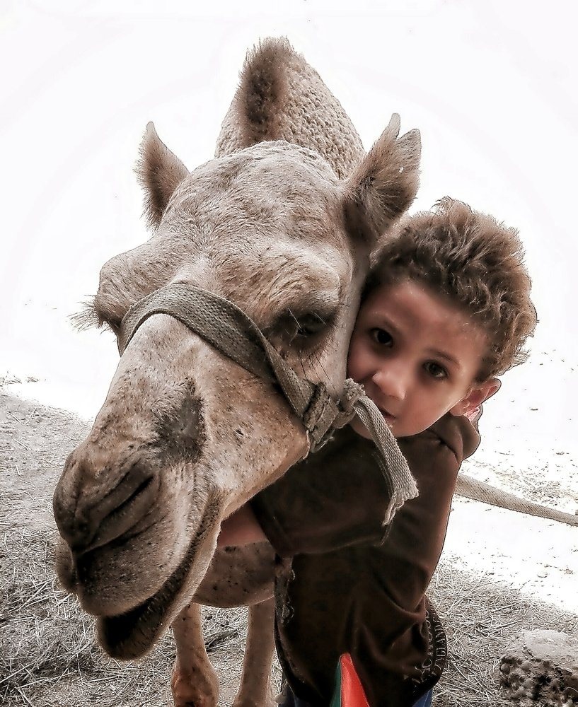 Big love from a little hug.