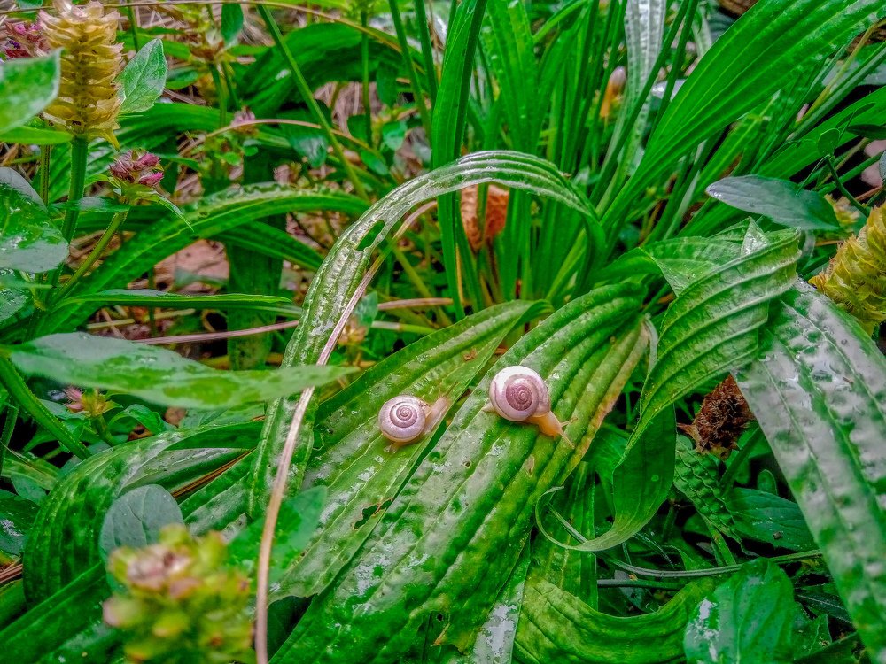 Маленький мир