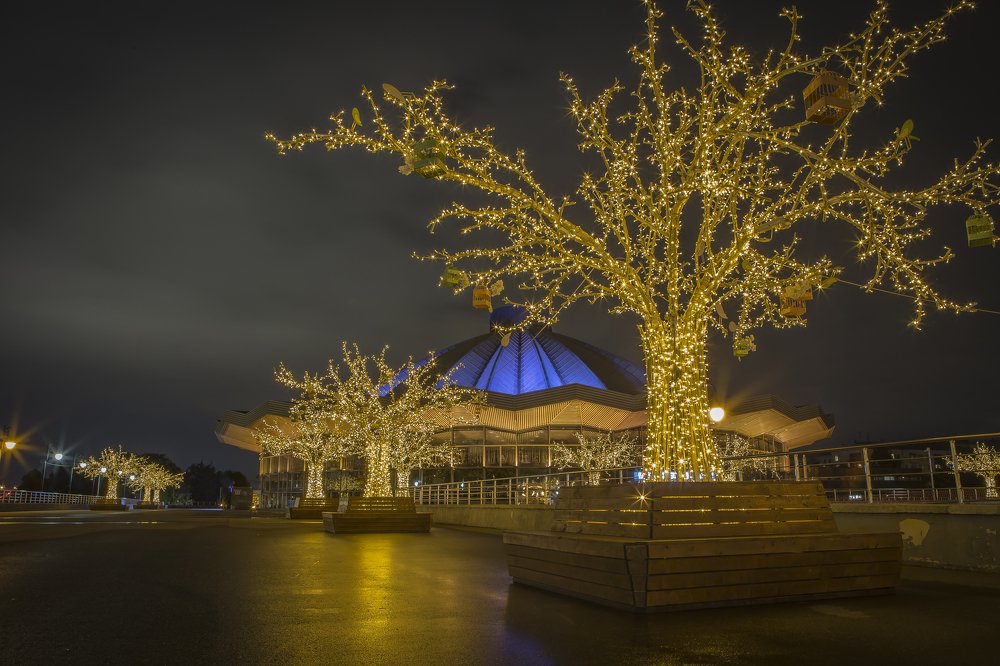 Photograph by Katja Sen