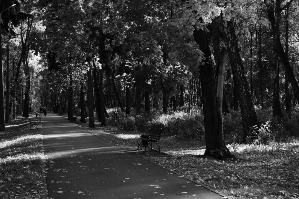 Photograph by Виктор Бурмистров