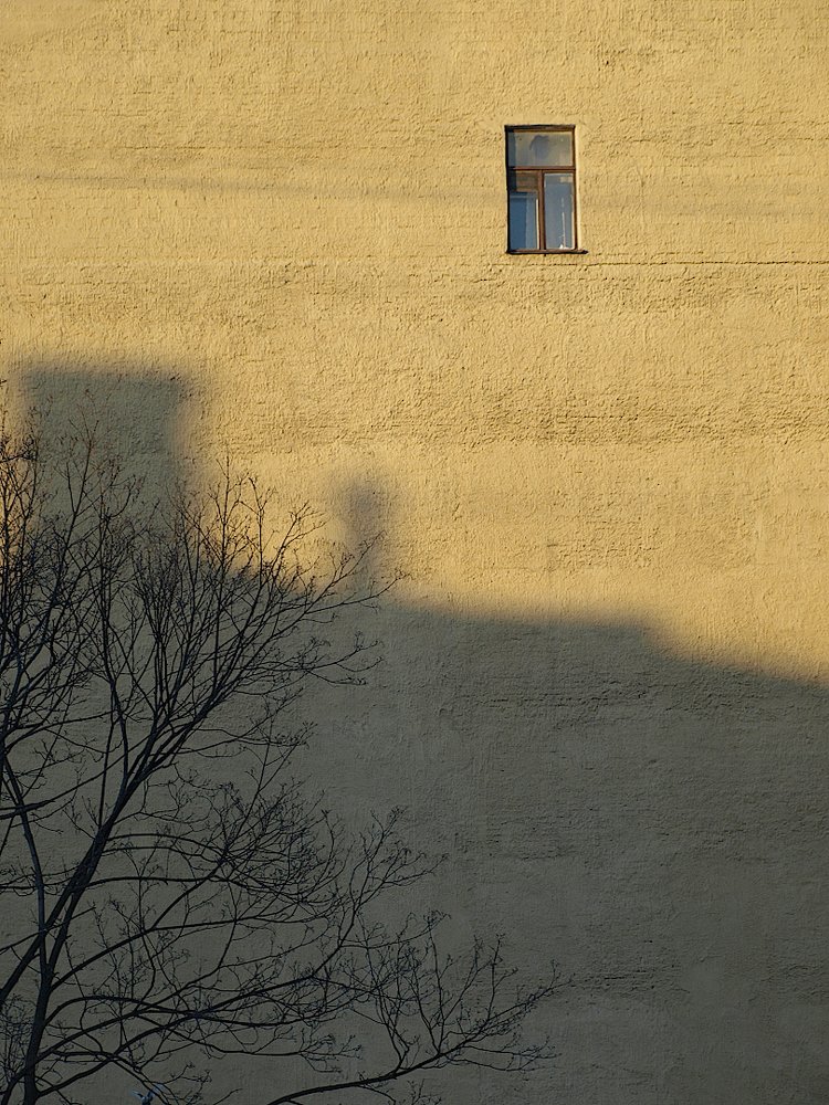 Где-то на Петроградской.