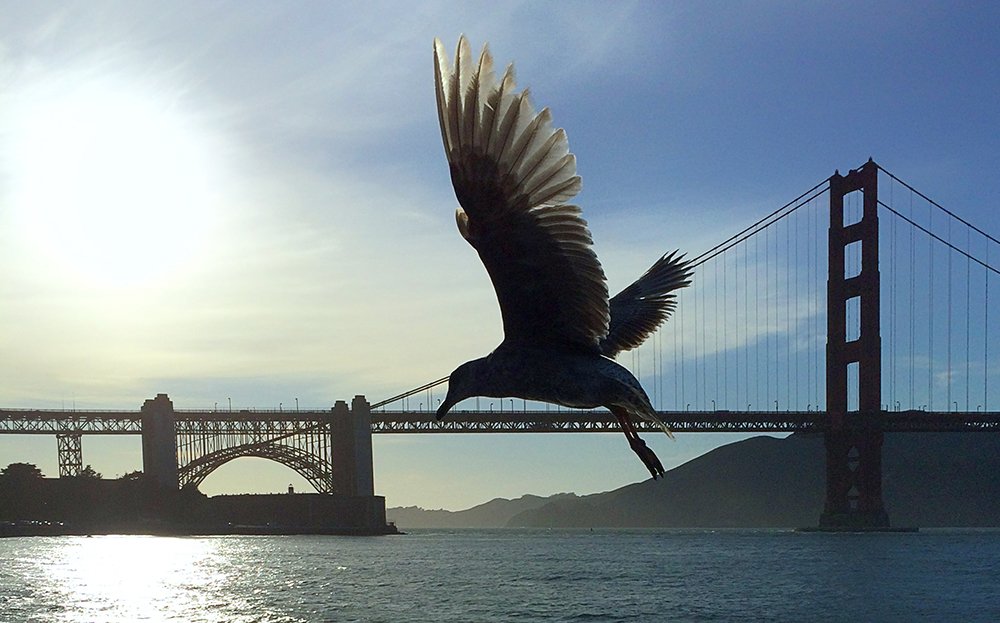 Photograph by Gilberto Villasana