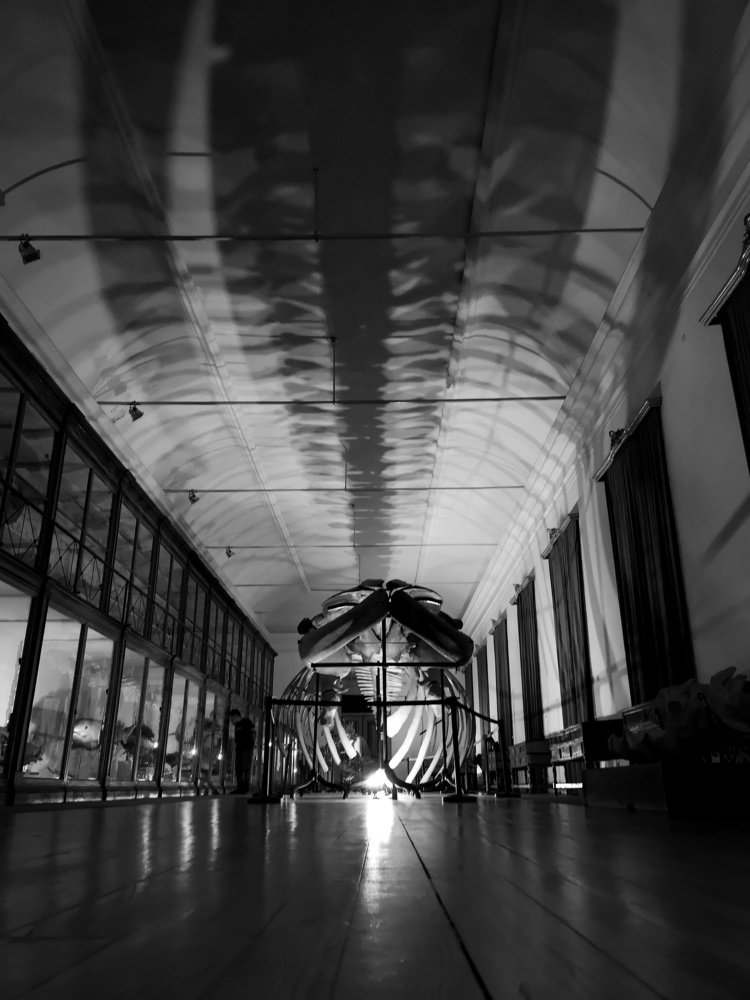 Photograph by Андрей Родионов