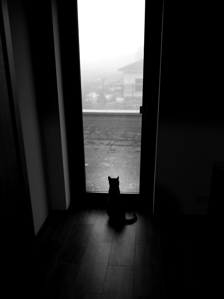 Photograph by Андрей Родионов