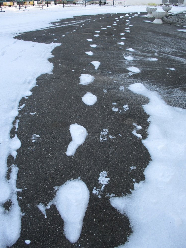 Photograph by Владимир Балыков