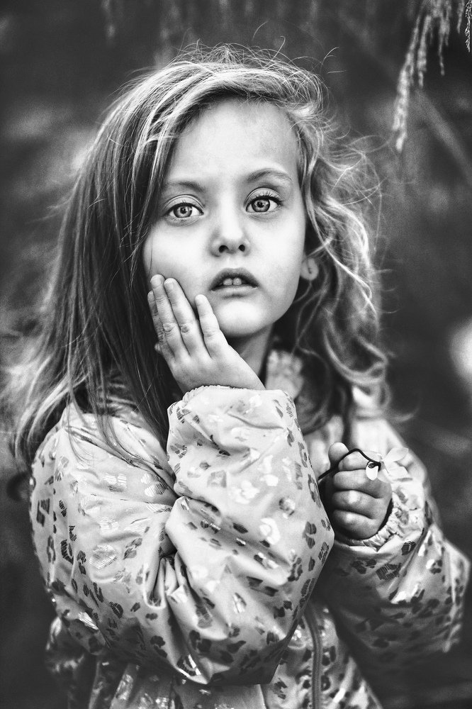 Фотография автора Сергей Гринис