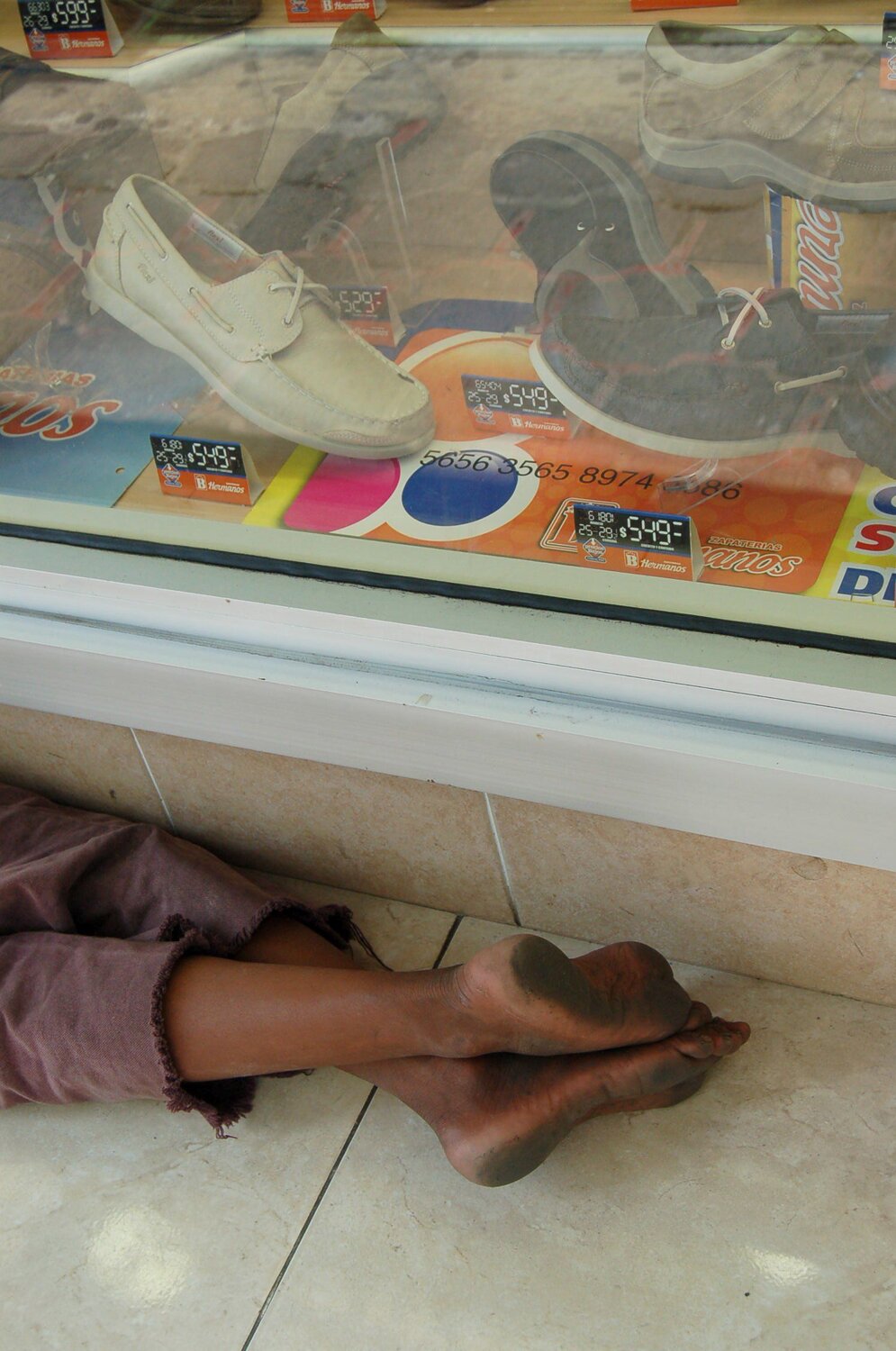 Photo #4052062