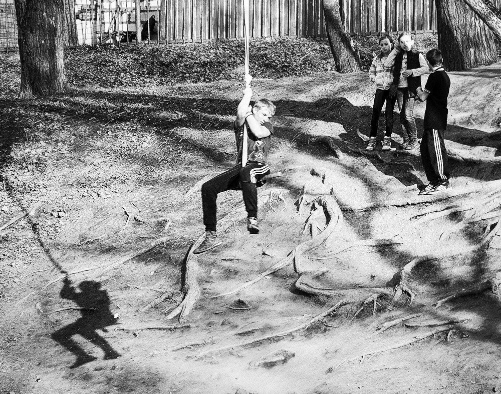 Photograph by Владимир Гречанинов