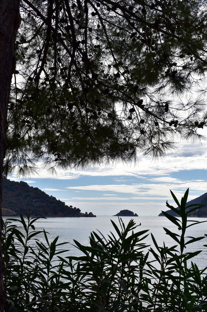 Photograph by Тарасова Инна