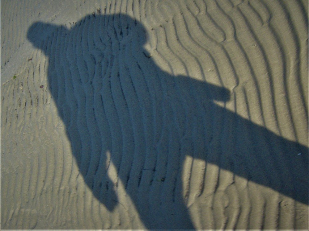 Photograph by Zdravko Ponorac