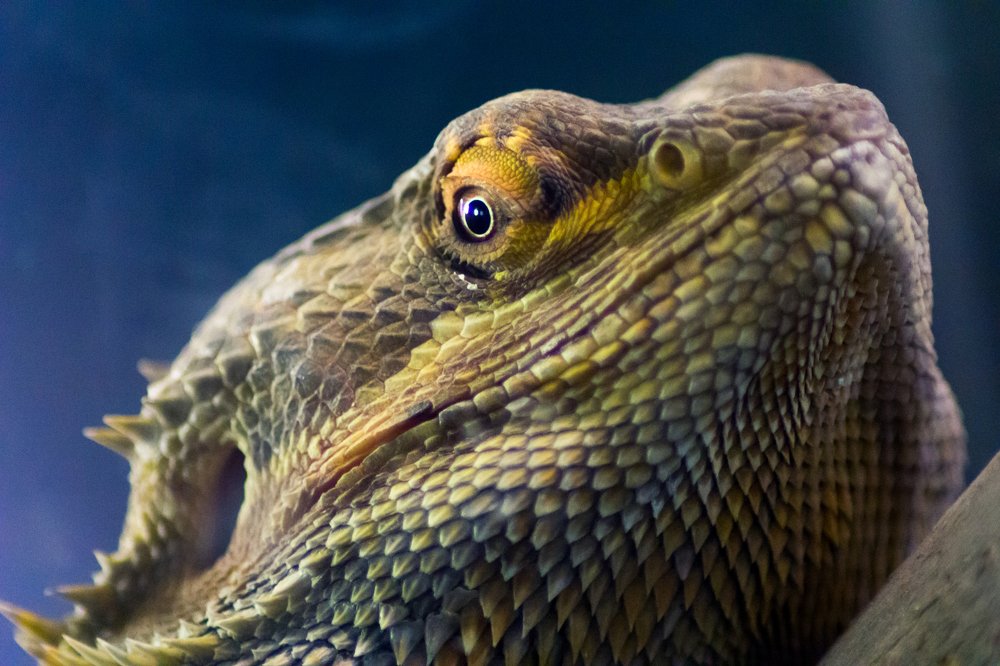 Photograph by Артем Карлов