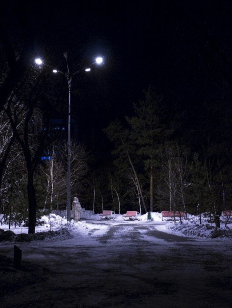 Photograph by Дмитрий Ким