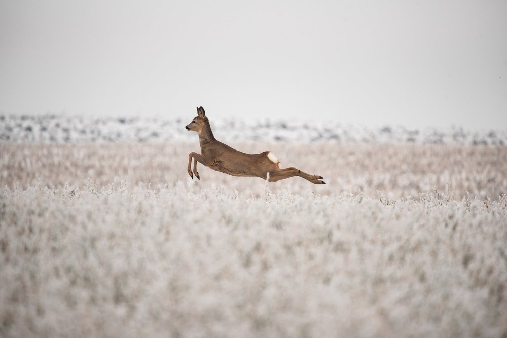 Photograph by Danijela Despotov