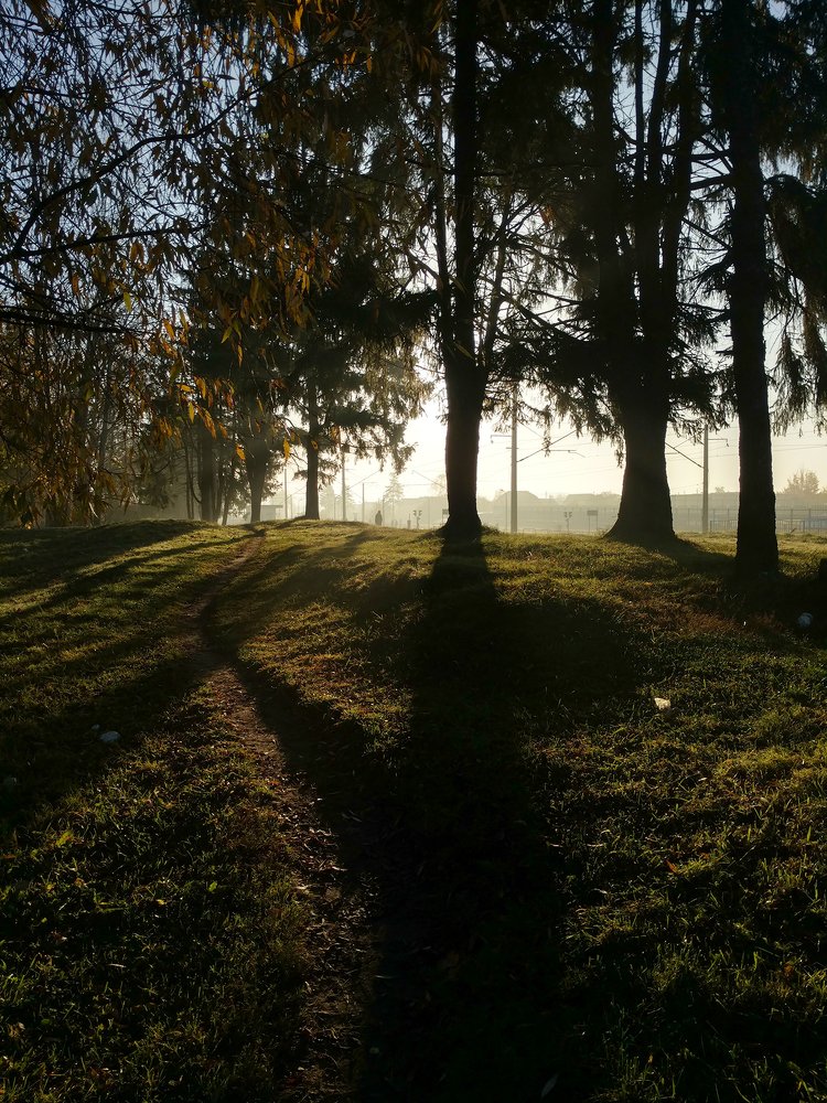 Photograph by Dzianis Mizhui