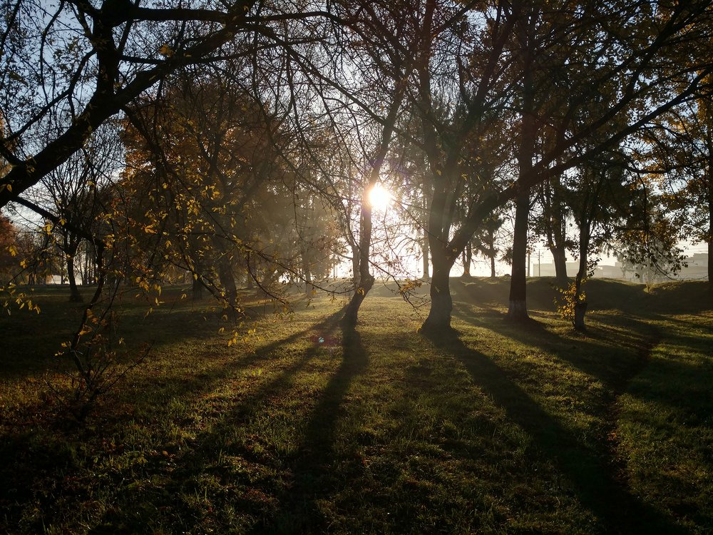 Photograph by Dzianis Mizhui