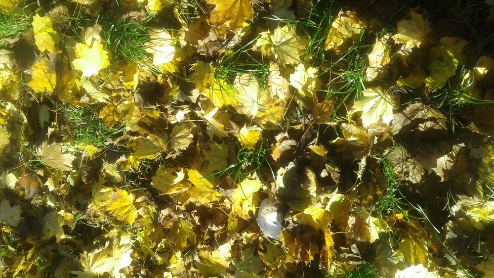 Photograph by Anila Ismailaj