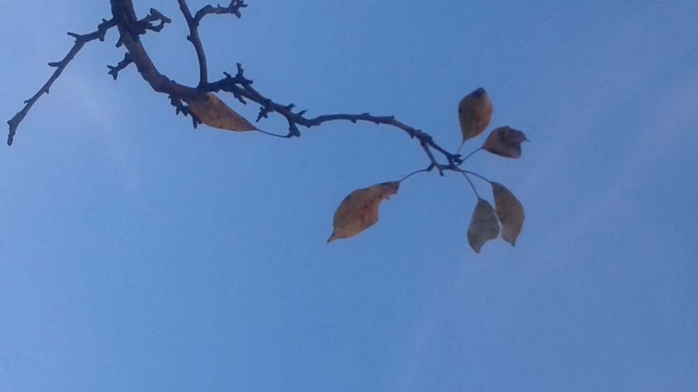 Photograph by Anila Ismailaj