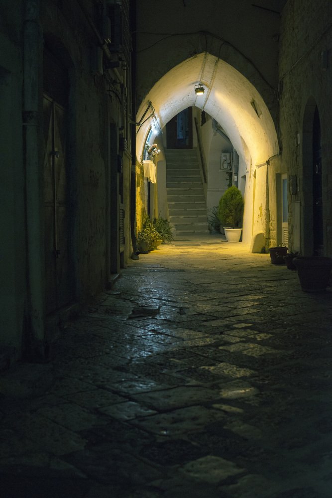 Photograph by Veronica CRISTODORESCU