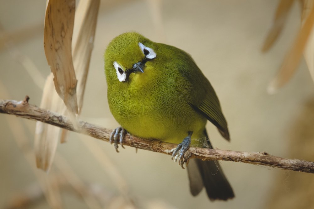 Photograph by Danijela Despotov