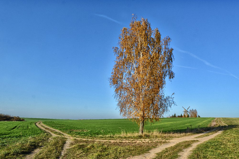 Фотография автора Виктор Журбенков