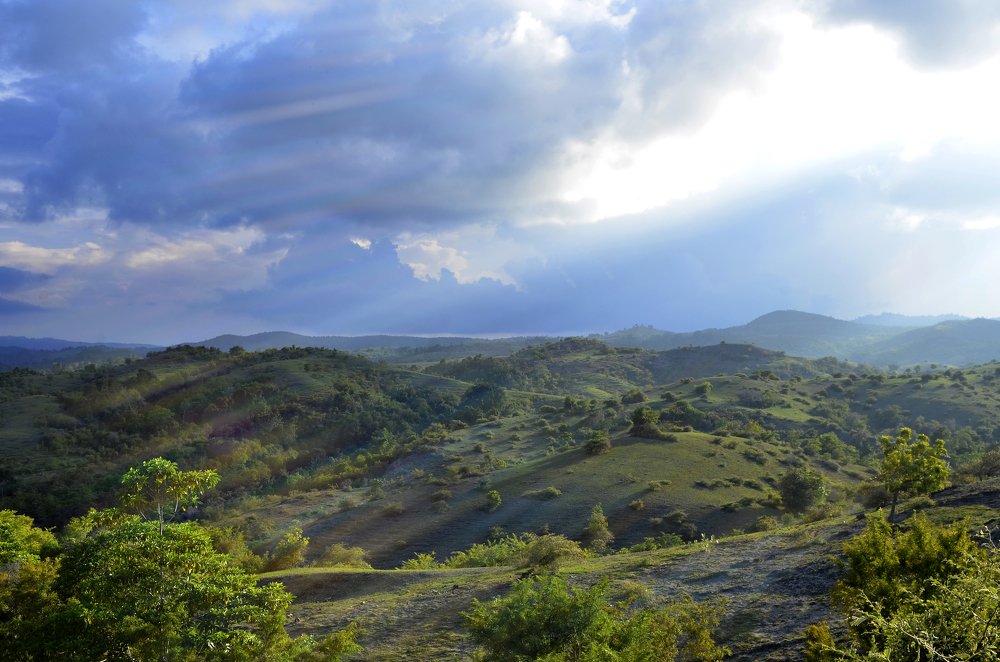Фотография автора photograph Umar abdi