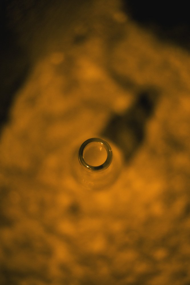 Photograph by Veronica CRISTODORESCU