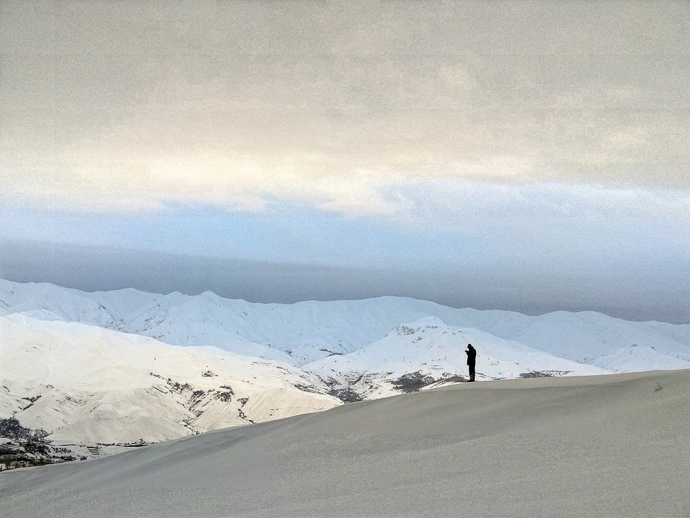 Photo #4052541