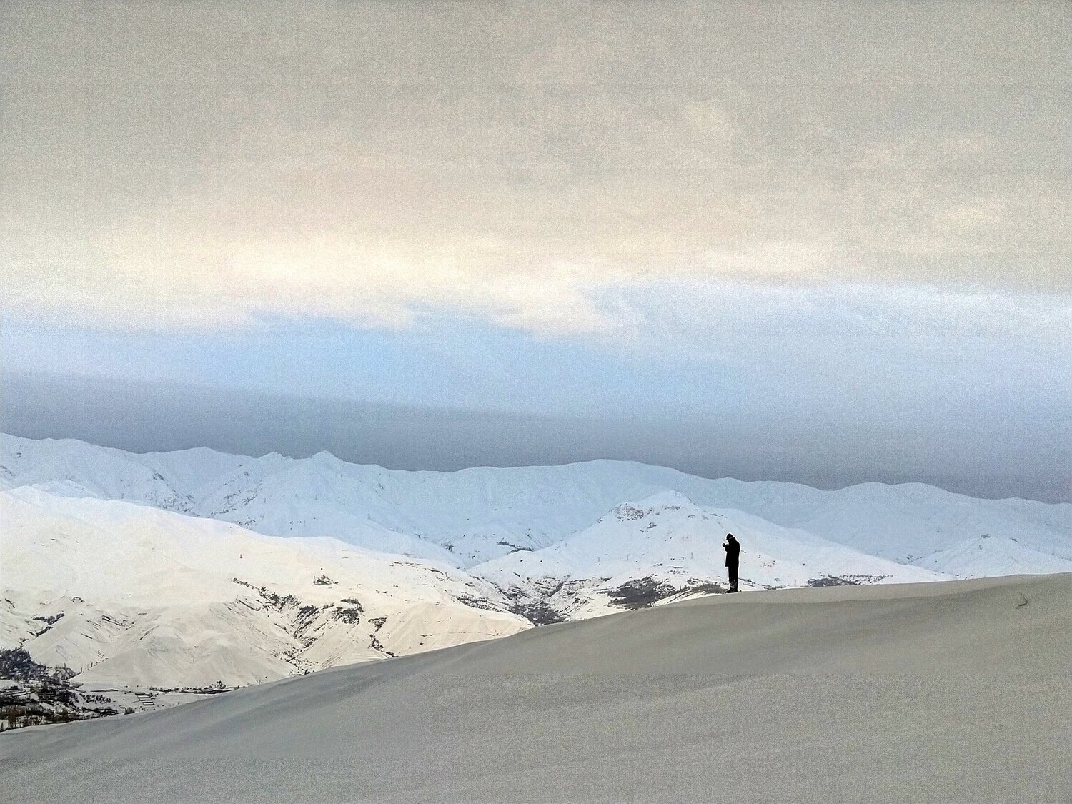 Photo #4052541