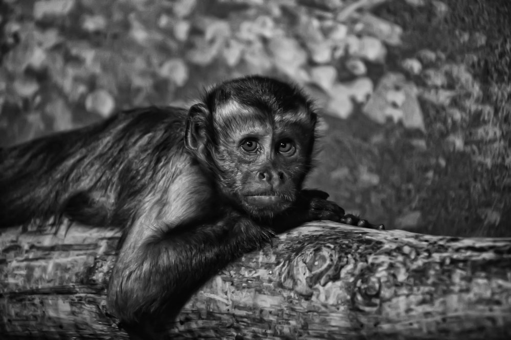 Смотрю я на вас,,,,и думаю....