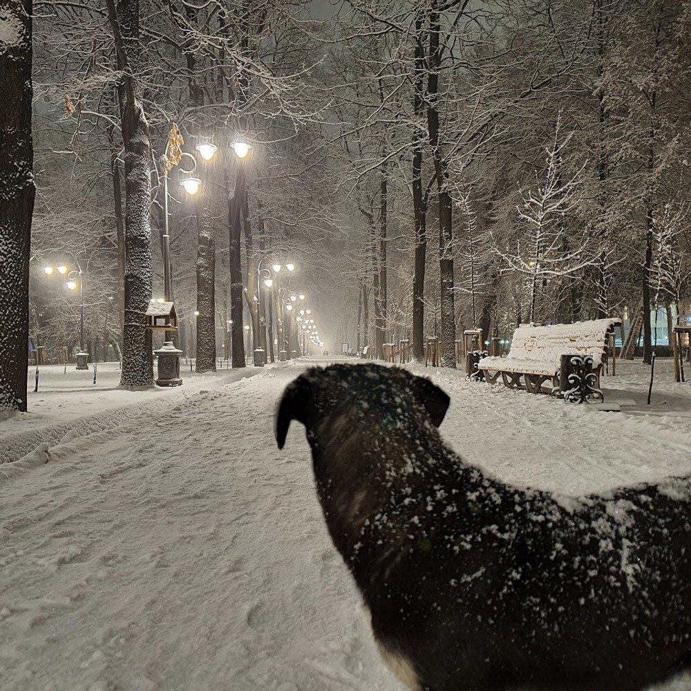 Вглядываясь в наступающий 2020...