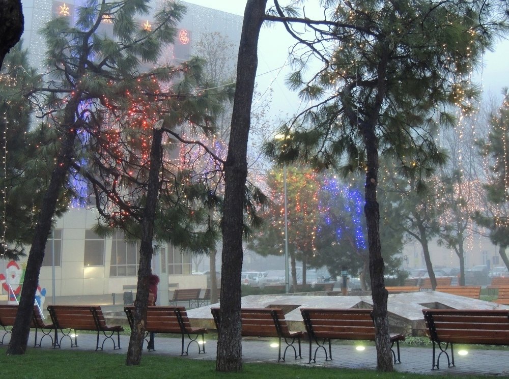 Photograph by Ionescu Stelian