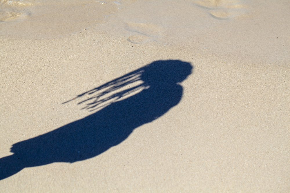 Фотография автора евгений митрошин