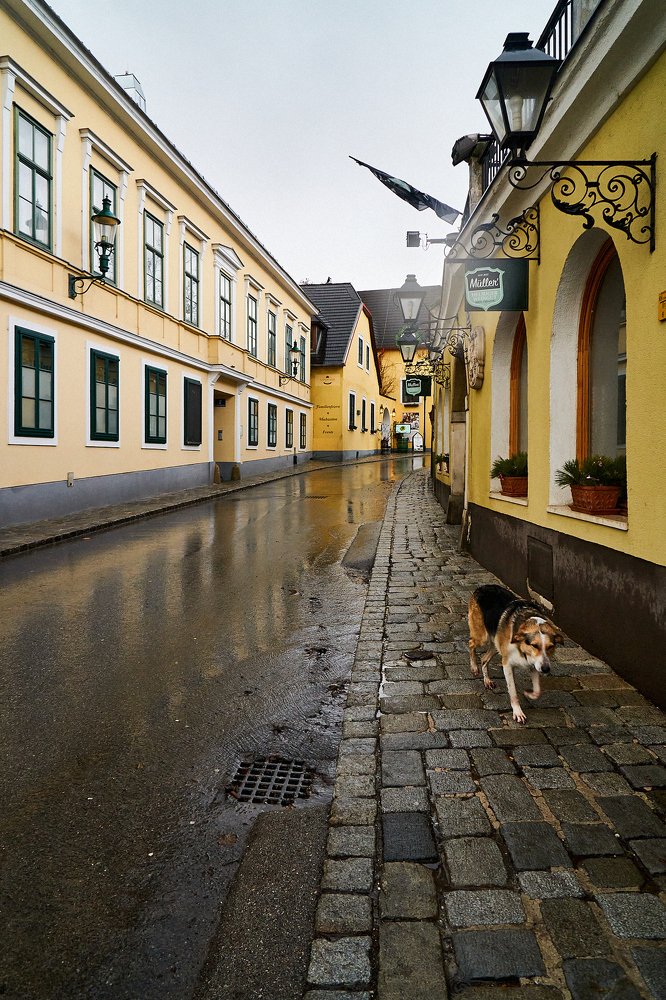 Photograph by Сергей Стукен