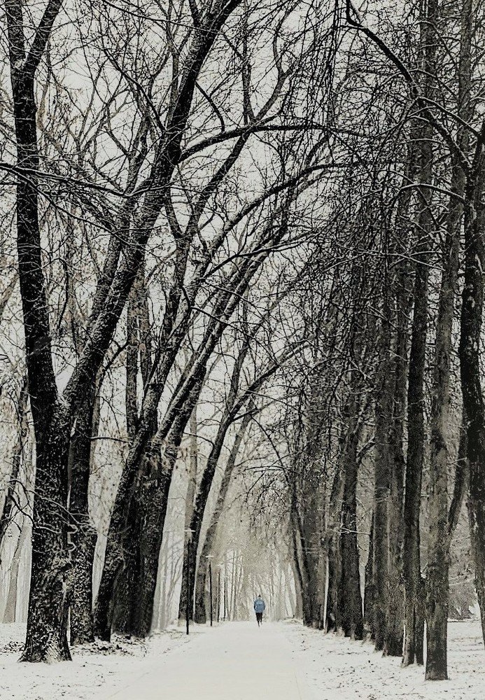 Photograph by Владимир Шнип