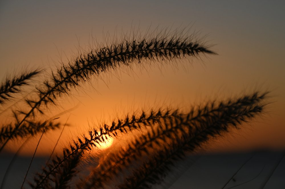 Photograph by Igor Ryzhov