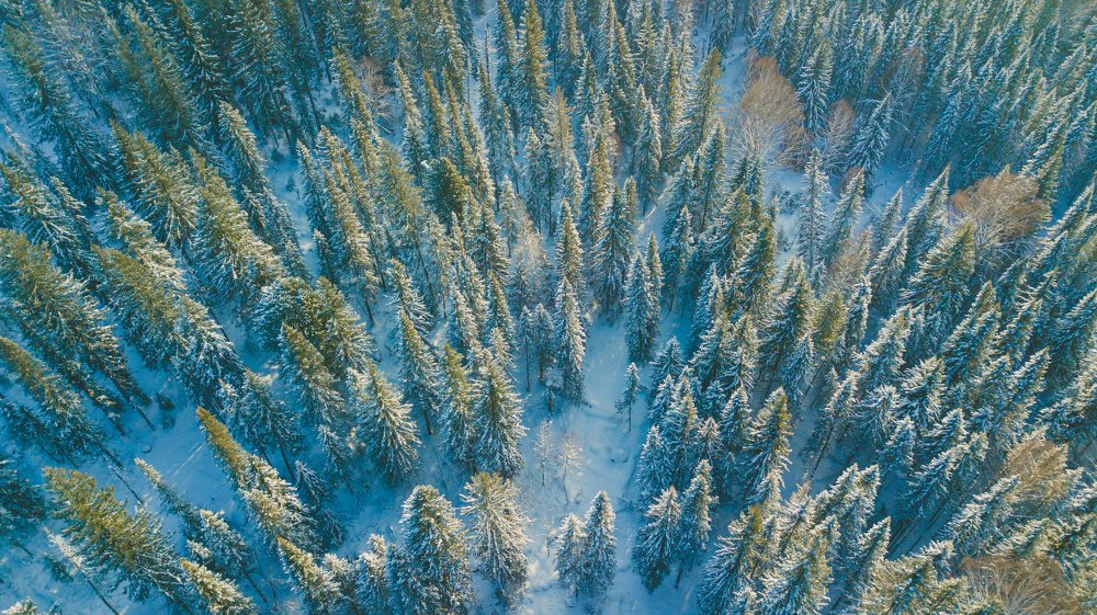 Photograph by Лобачев Юрий