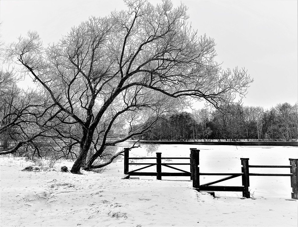 Photograph by Владимир Шнип