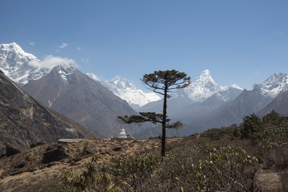 Photograph by Янина Малиновская