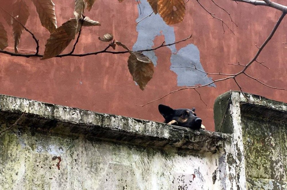 Photograph by Сергей Рубан