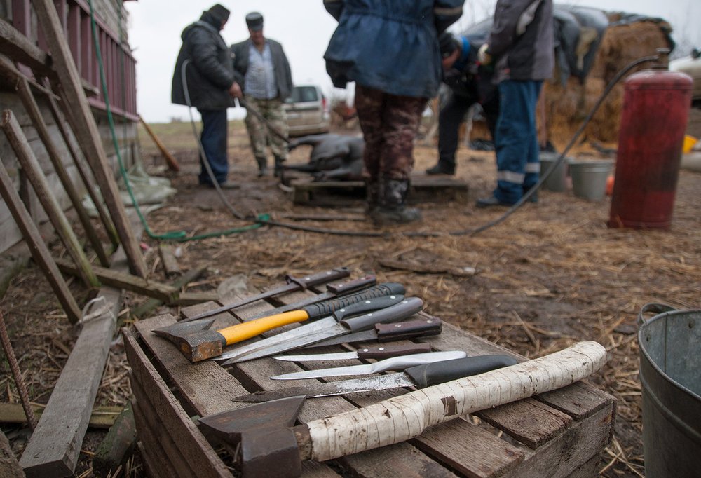 Свежатина в феврале