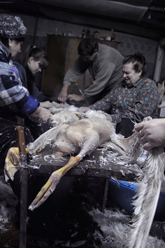 Photograph by Оксана Носкова