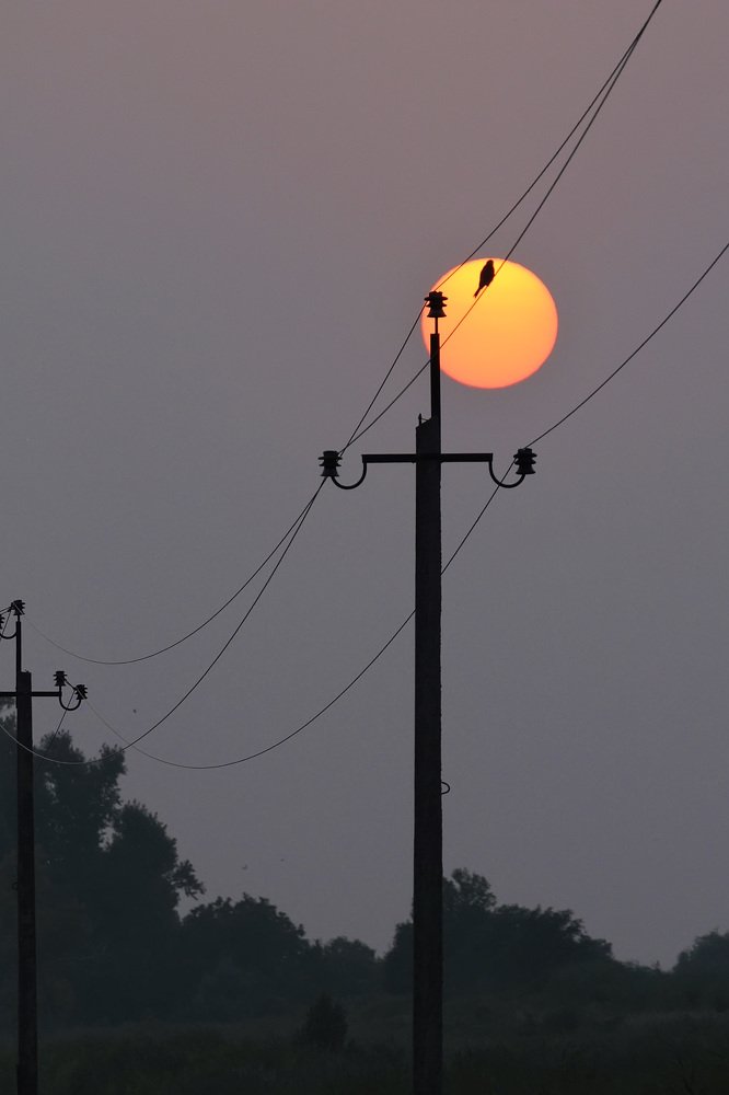 Photograph by Оксана Носкова