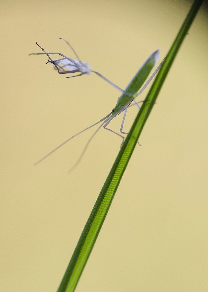 Photograph by Оксана Носкова