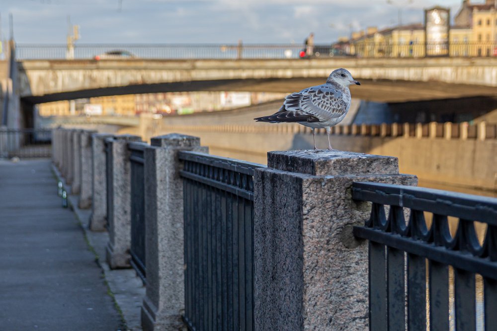 Photograph by Дмитрий Чудинин