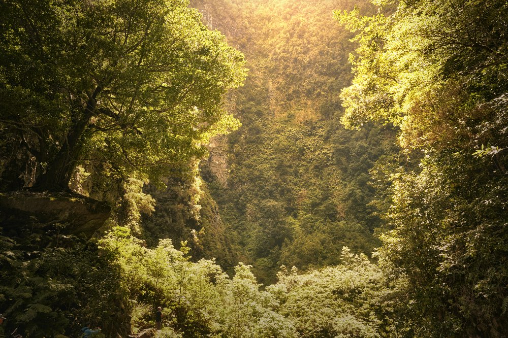 Photograph by Александр Боднар